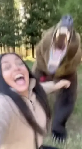 Morango do amor ou morango do ódio? #morangodoamor #viral #morango 