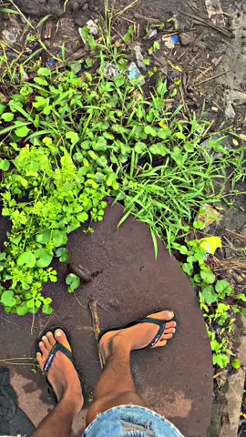 Tersiksa Karo embong kb 2