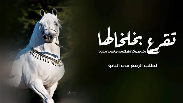 #متعب_الخيل #شيلات_مدح #شيلات_عروس #شيلات_بدون_موسيقى #صوت_الفخامة_متعب_الخيل 