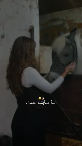 أنا مابشبه حدا.👌🏻🙂‍↔️✨#راشديةمطنوخة #خيل_وخياله🐎 #capcut #foryou #viralvide 