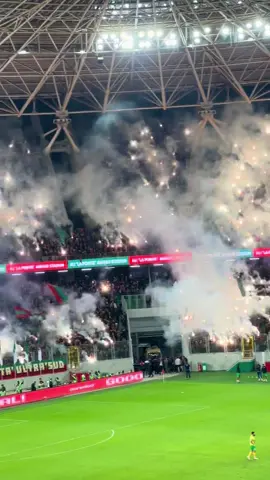 #mouloudia_virage_sud🇮🇹🙏 #حب_عقلية💚❤️🙏 #viragesud #greenscreen #مولودية🇧🇬🇧🇬_نعشق_فيهااا💚  @Speed Shop 