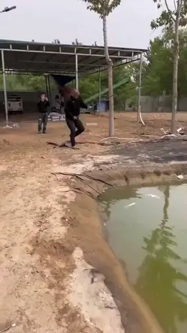 go fishhing #fouryou #fyp #tiktok_india #fishing 