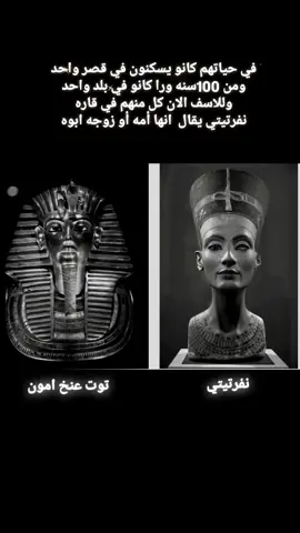 حلم حياتي يبقو جنب بعض في المتحف المصري الكبير في اقرب وقت 💔 #fyp #مصر #المتحف_المصري_الكبير  #kingtut #nefertiti 