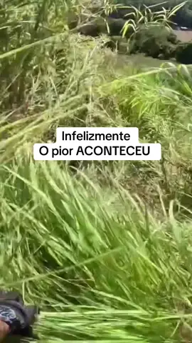 #pista #moto #velocidade #acidente #curva 