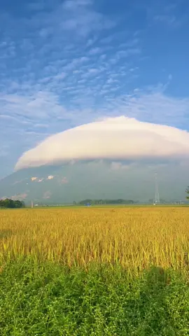 Thành quả của việc dậy sớm 😘 #nuibaden 