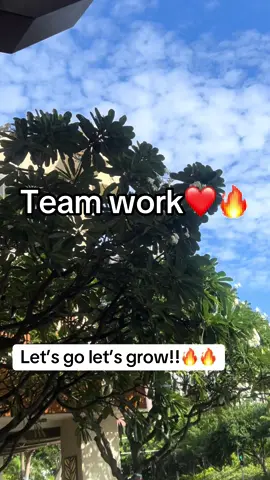 Follow for follow!! #teamwork #teamworkchallenge #trending #fyp #foryoupage 