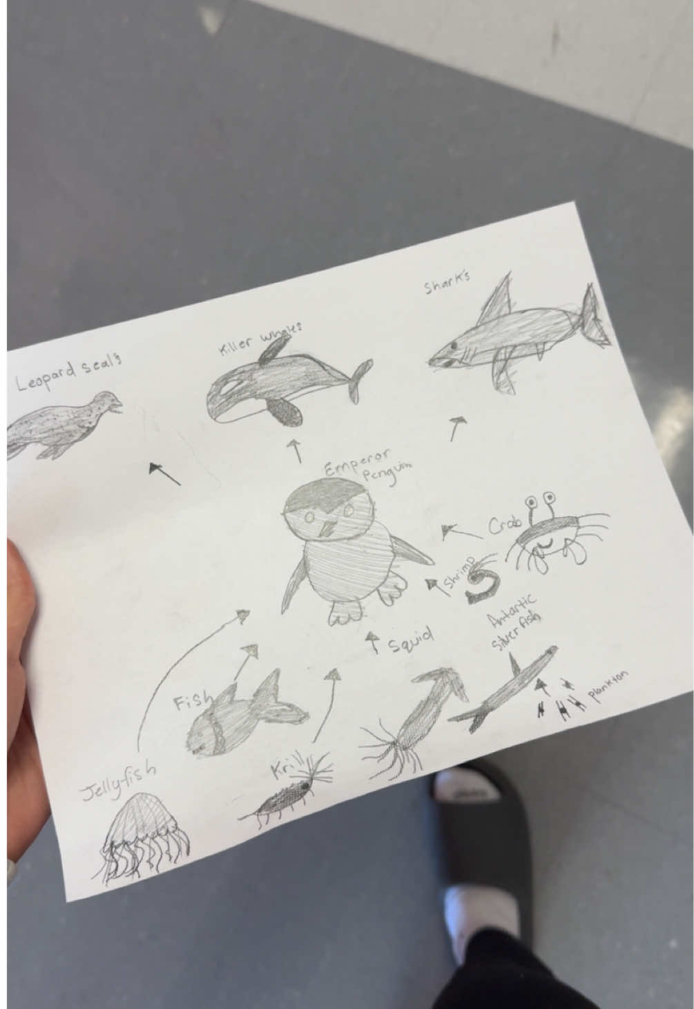 okay the fuzz is rlly throwing me off #fyp #viral #fyypppppppppp #dance #fy 