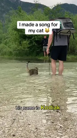 I made a song for my cat and now I can’t get it out of my head 😸🎵 #travelcat #adventurecat #cutecatsoftiktok #cattok 