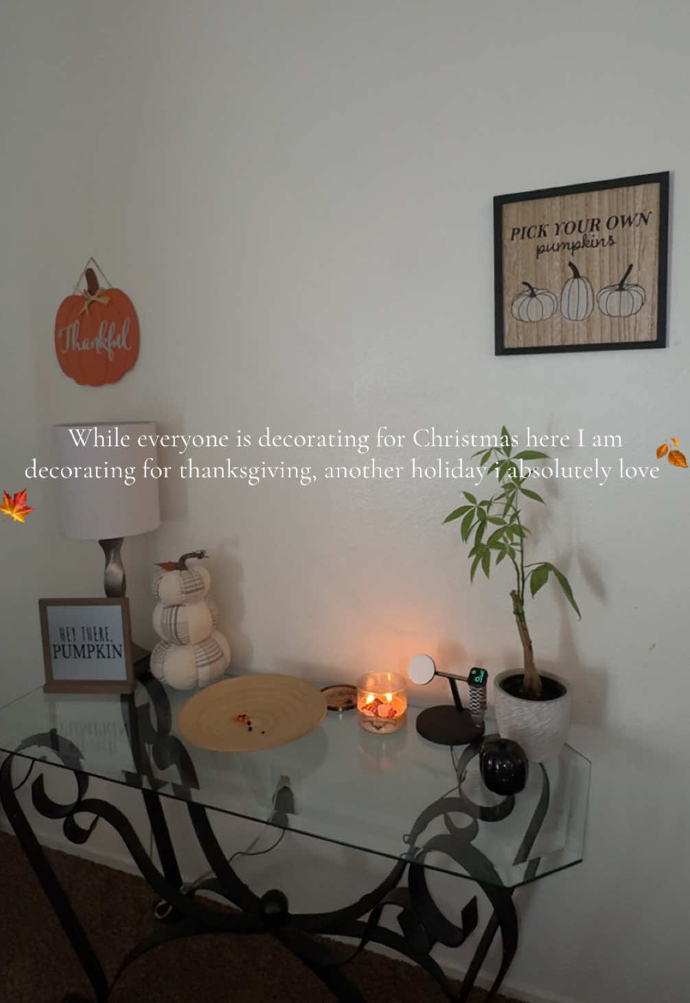 Thanksgiving has to be one of my absolute favorite holidays, I love when everyone gets together and shares what they’re thankful for and I can’t forget about all the AMAZING food we make around this time🤎🤎🤎🤎 #thanksgiving #thanksgivingdecor #falldecor #thankful #fallvibes 