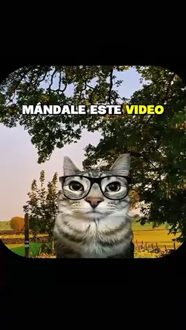 Mándale este video a tu mejor amigo. ❤️ #poet_psicologia #amigos #dedicar #parejas #amor 