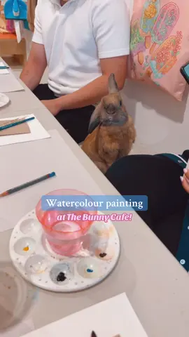 Our next Watercolour Bunnies: Painting + Drawing Workshops are Nov 10th and Nov 24th at 7pm! #bunniesoftiktok #hobbies #datenightideas #vancouver 