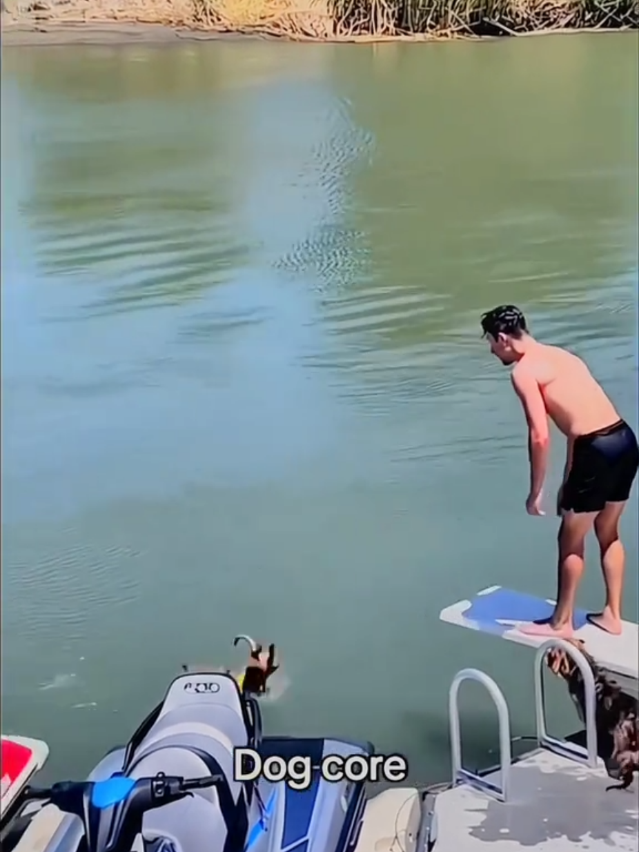 #fyp #viral_video #viralditiktok #foruyou #foryoupage❤️❤️ 