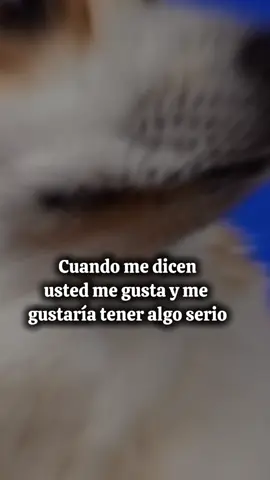 🤣🤣😅🤣🤣#CapCut 🤣🤣🤣🤣🤣🤣...Así no se puede  😅🤣🥰🤣🤣🤣😅😅😅😅🤣