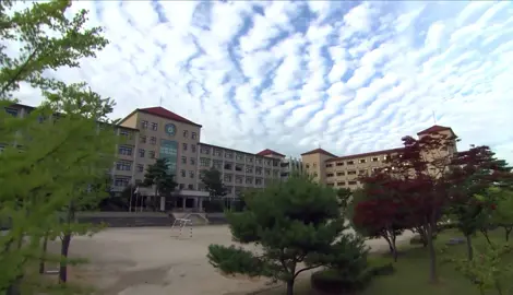 GIA ĐÌNH LÀ SỐ 1 PHẦN 2 - Tập 54 #giadinhlaso1 #giadinhlaso1phan2 #phimhanquoc #thichxemphim #phimhaymoingay 