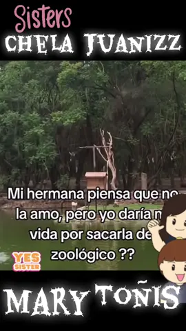 Saludos #parati #cervantes #Sanchez 