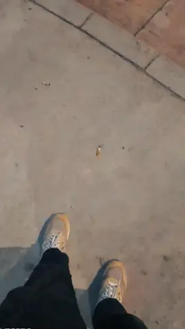 vibes Cibitung dc  #shopee #cibitungdc #fyp 