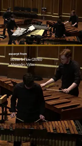#MusicMonday Release: Tim Genis leads the NEC Percussion Ensemble in a performance of the first movement, “Bright & Dark,” of Alejandro Viñao’s Stress & Flow in April 2024.