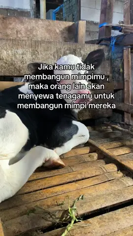 #fyppppppppppppppppppppppp #viraltiktok 