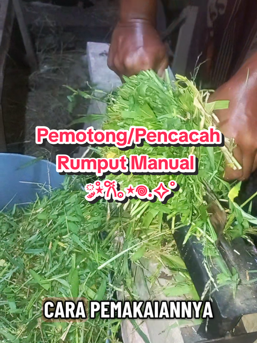 Alat Pemotong/Pencacah rumput manual✨ #alatpencacahrumput #pencacahrumput #pemotongrumputmanual #pencacahrumputmultifungsi #pemotongrumput 