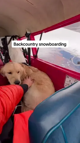 Getting dropped on a glacier by a tiny bush plane in Alaska hits different. 🏔️❄️  Out here, there are no lifts, no lines just untouched powder and silence. Each run carves through fresh snow with views that feel otherworldly. It’s the kind of backcountry ride where adventure starts the second the plane takes off. 🇺🇸✨  🎥 @rafael please  #AlaskaAdventure #BackcountrySnowboarding #VisitAlaska #snowboarding  