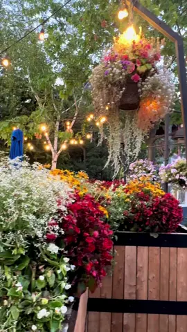 MAHI ##FORYOU😉🤩 