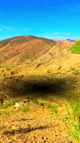 #CapCut #قرآن_كريم #راحة_نفسية #الحمدلله_دائماً_وابداً 