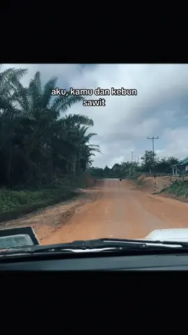 #pegawainengsawitan #sawitontiktok #kebunsawit #fyp 