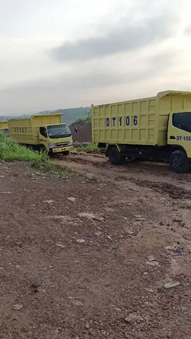 DT Haoling batu bara B2 paoh kec tungkal jaya kab musi banyuasin #DTHauling  #Batubara #Drivertambang #Pypppppppppppppppppppppppppp  #TikTok