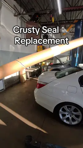 I wish every window seal was this easy 😅 finally one thing I can “fix” on my BMWs that doesn’t involve an air hammer #bmw #carsoftiktokcontest #mechanic #auto #car 