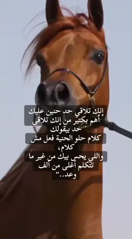 #تصميم_فيديوهات🎶🎤🎬 #فلسفة_العظماء🎩🖤 #اقتباسات_عبارات_خواطر🖤🦋❤️ #خيل_وخياله🐎 #الخيول_العربية_الأصيلة 