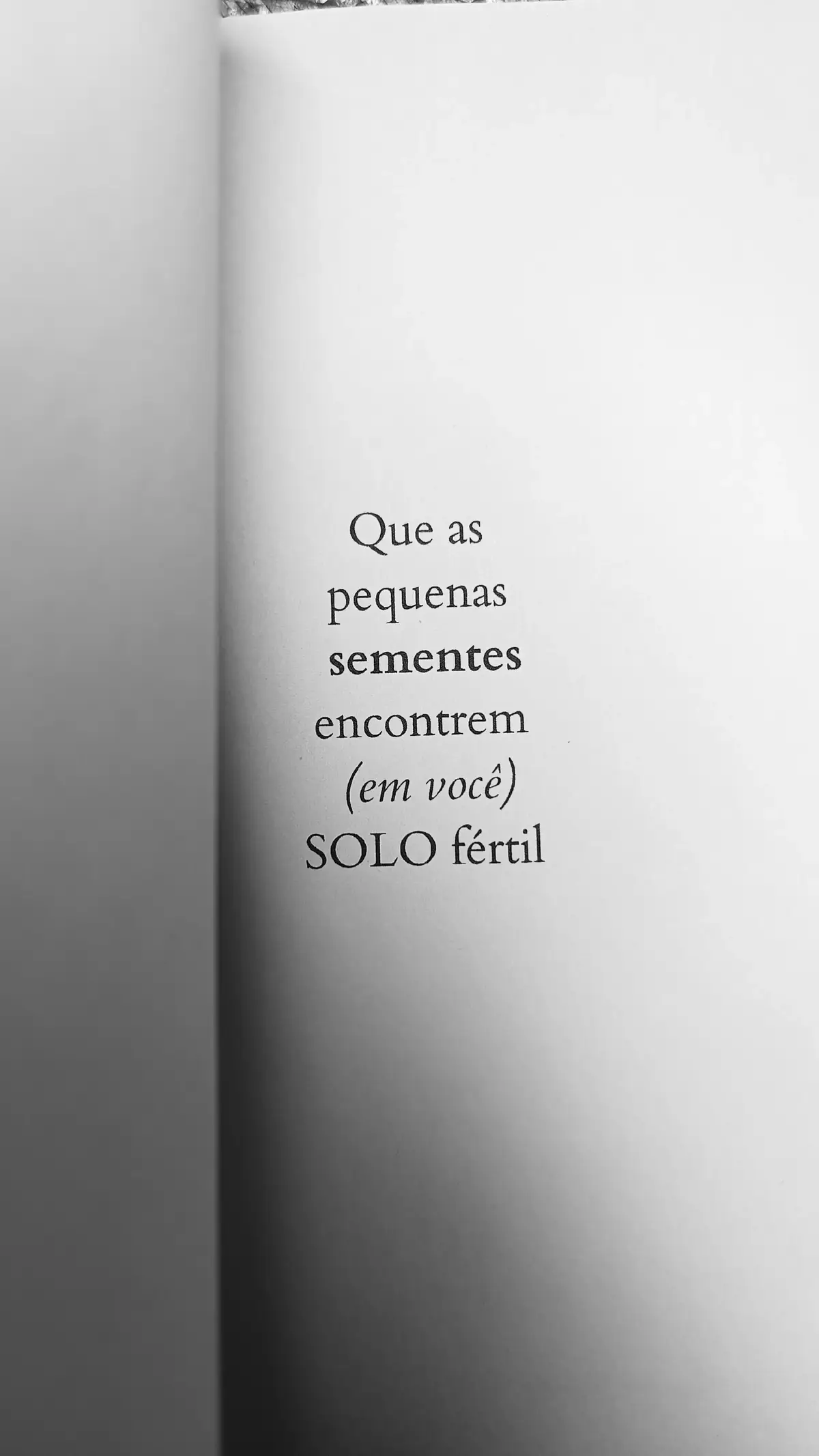 te convido a conhecer meu livro 🤍 (link da bio) #booktokbrasil #livrostiktok #kindleunlimited 