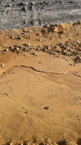 🫁#foryou #fypシ゚ #tambangbatubara #storytambang 