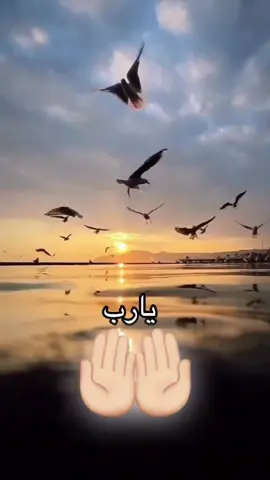 #يارب❤️ #يارب❤️ #يارب_العالمين🙏 #