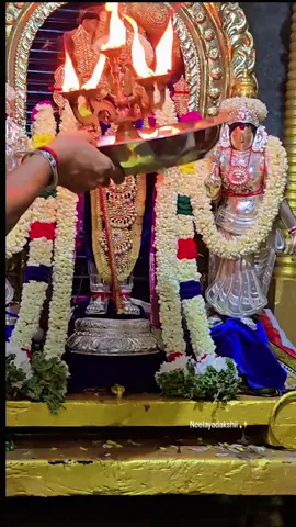 Sri Kumaran kovil, Nagapattinam #fortyshadesofmadi  #devaayathana 