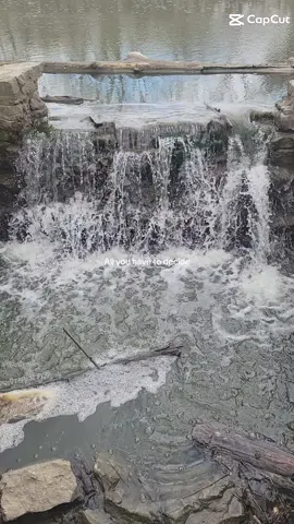 #time #nature #seasons #now #choices 