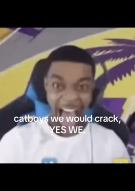 #catboys #fyp #viral #ILOVECATBOYS 