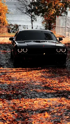 Dodge Scatpack 392 #fyp #cartok #musclecars #scatpack392 #foliage 