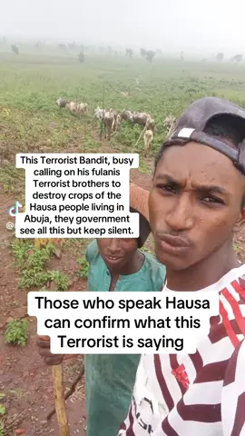 #creatorsearchinsights #plateau #Benue #kwara 