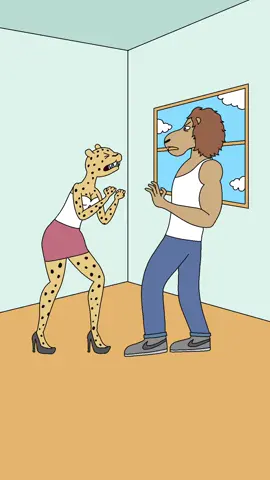 Cheetahs never win #funny #animation #cartoon #lion #cheetah