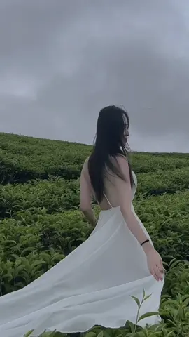 Yêu thương đã nhạt nhòa… #dungnguyenbt #fyp #xh #CapCut 