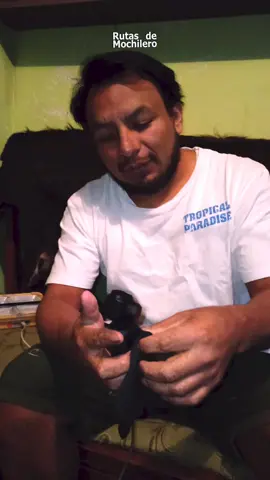 Lo que no grabé en Marcahuasi: La noche que la meseta me habló.  Parte 1 #peru🇵🇪 #rutasdemochilero #marcahuasi 