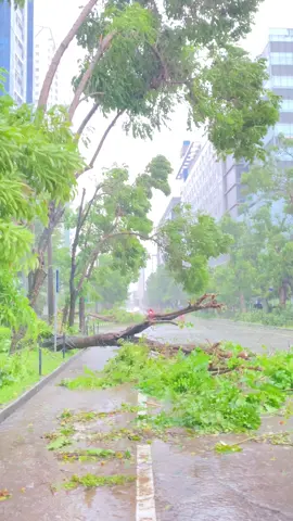 IT PARK UPDATE #bagyongtino #CebuCity #ITPark #CallCenter #fyppppppppppppppppppppppp 