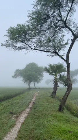 জীবনে অর্থ সঞ্চ্যের পদ্ধতি পেলেও, মানুষ সঞ্চয়ের পদ্ধতি পাওয়া যায় না! 🌸🥰 #viral #fyp #natural #foryoupage 