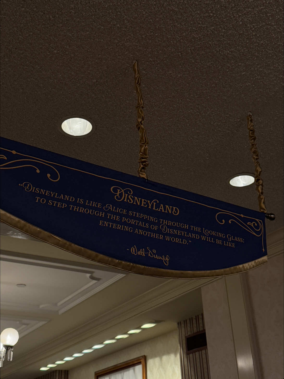 Enemy territory  #fyp #disneyland #padres #dodgers 