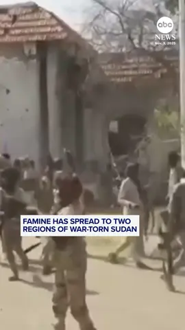 Famine grips two regions of war-torn Sudan as the paramilitary violence escalates. The Integrated Food Security Phase Classification, or IPC, said famine has been detected in the Darfur city of el-Fasher and the city of Kadugli in South Kordofan province.