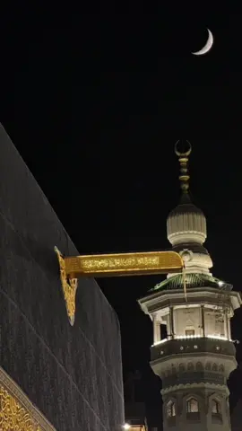 @🌚🤍 #گوهداربـــــــــــە🤍 😌🤍…