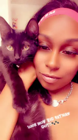 #greenscreenvideo #catsoftiktok 