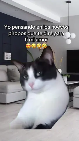 #MemeCut #MemeCut#humor #jajajjaajjajajajajajajaja #piropos 