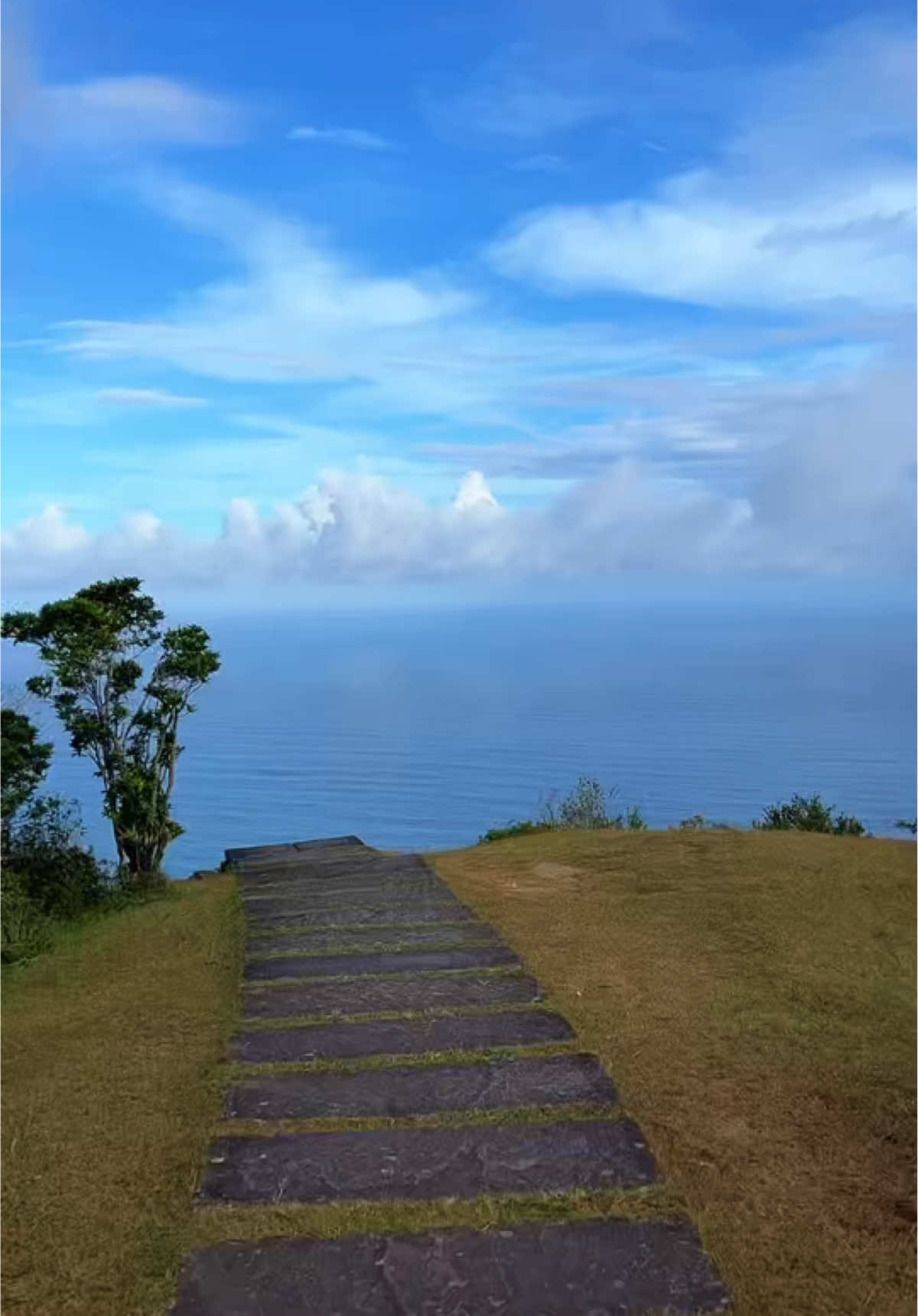 📍 Caoling Historic Trail (草嶺古道),Yilan County,Toucheng Township #nature #SummerBeauty #草嶺古道 #bestview #taiwan🇹🇼 