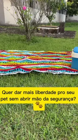 🖇link do produto nos comentários 🎁🐾✨️#cercadinhopet #casinhapet #tendapet #creatorsearchinsight 